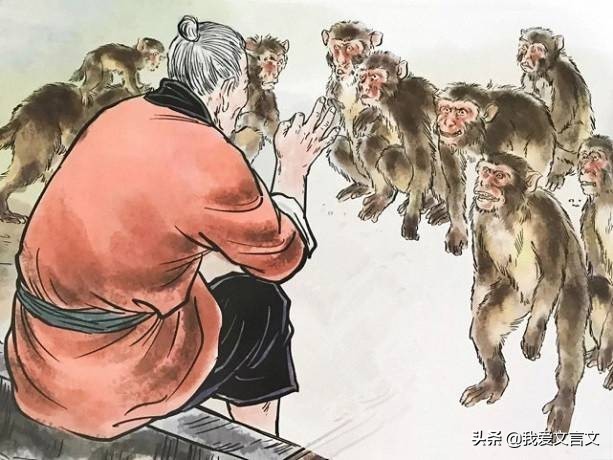 经典文言文赏析 | 朝三暮四