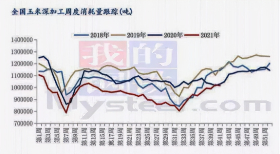 随猪起舞，玉米的天花板有多高？