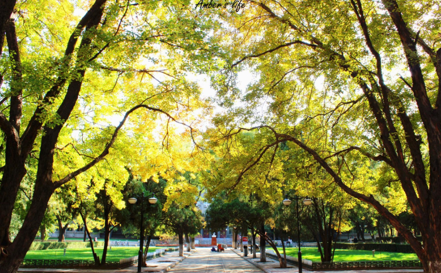 山东大学迎来新校区，总投资125亿元，当地考生多留意