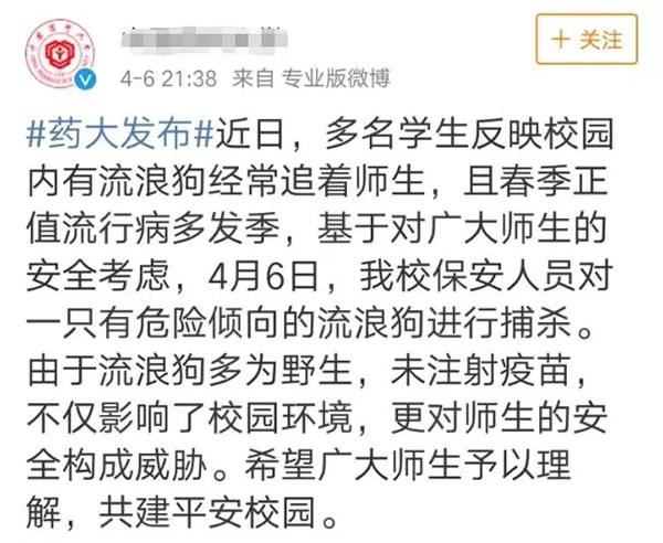 大学生在宿舍养猪被通报批评：因猪长太大被发现