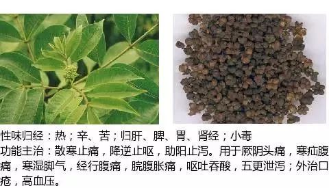 300个中草药图谱（附主治功效），知道一半就太牛了（上）