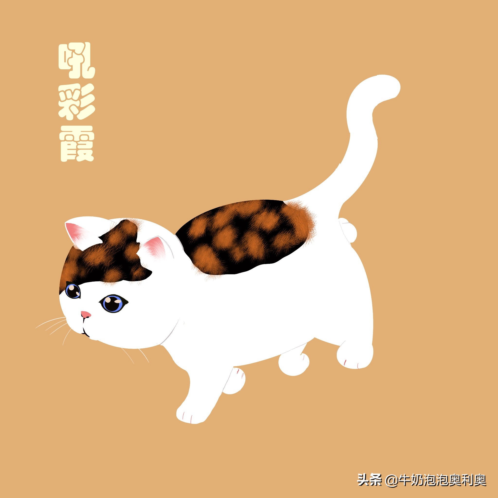 古代猫咪花色名称大全,中国风韵十足,你家逆子叫啥名?