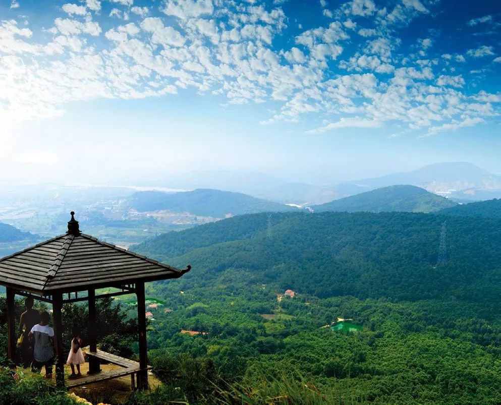 2019 武汉军运会，最全攻略