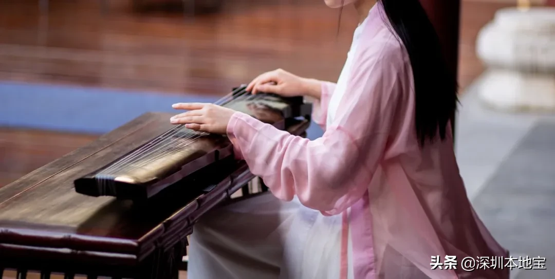 名额有限，报满即止！龙华又有公益培训来啦！大人小孩都能报