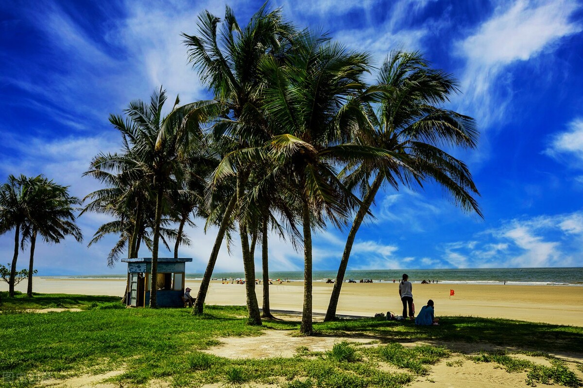 2021年艺考生你能上本科吗？八省最新发布的艺术类最低录取控制线