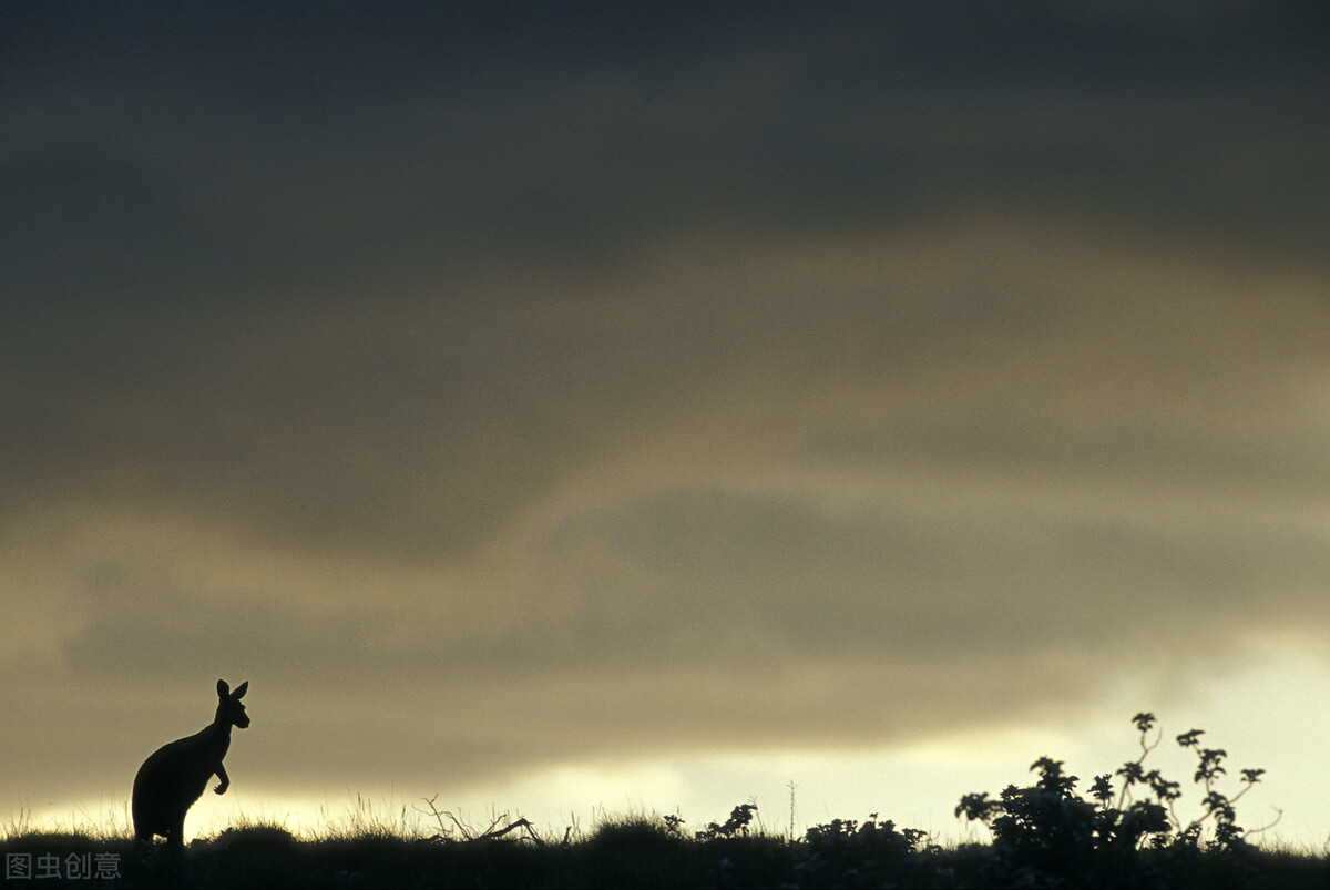 林炎随笔：赚钱的50个秘密，读完恍然大悟