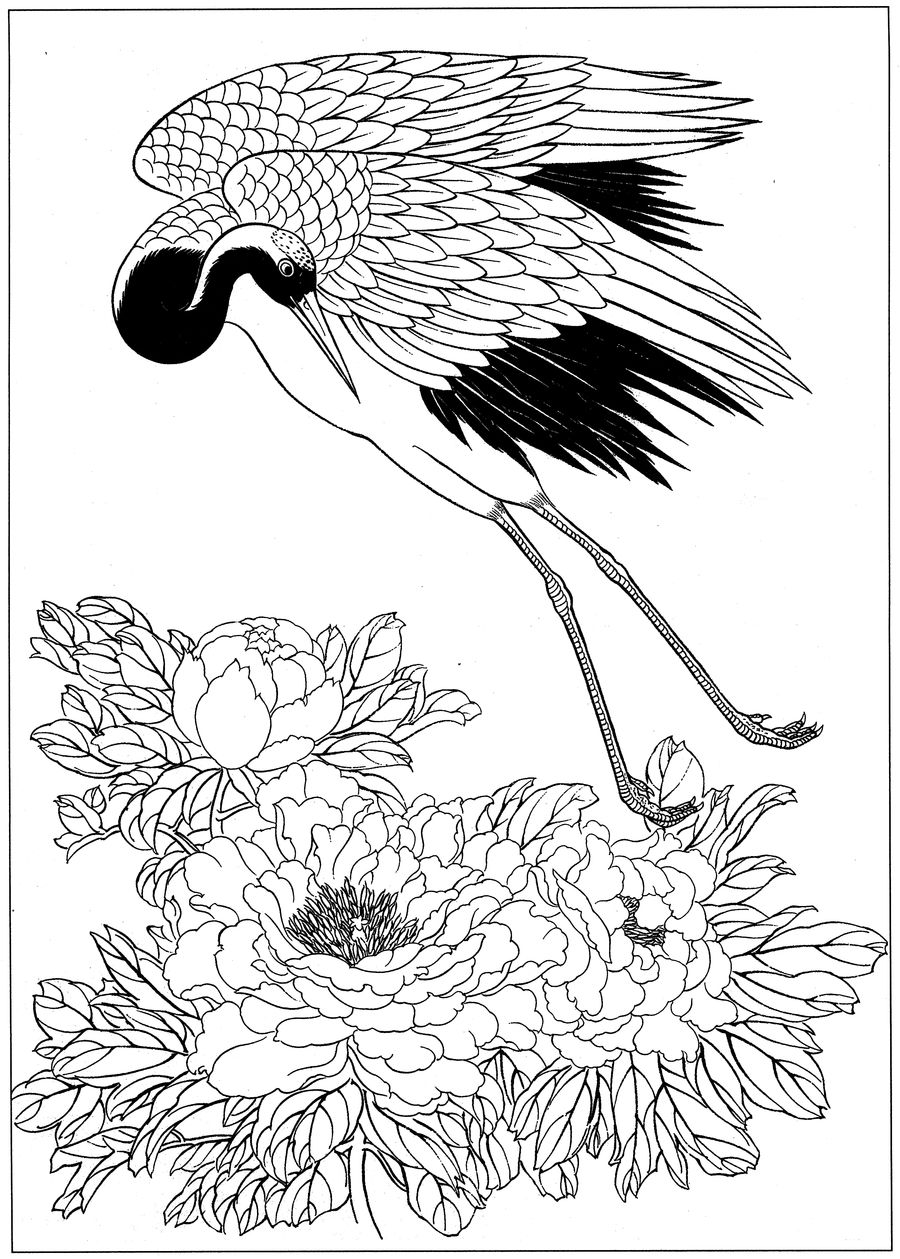 仙鹤高清白描线稿图片下载19幅