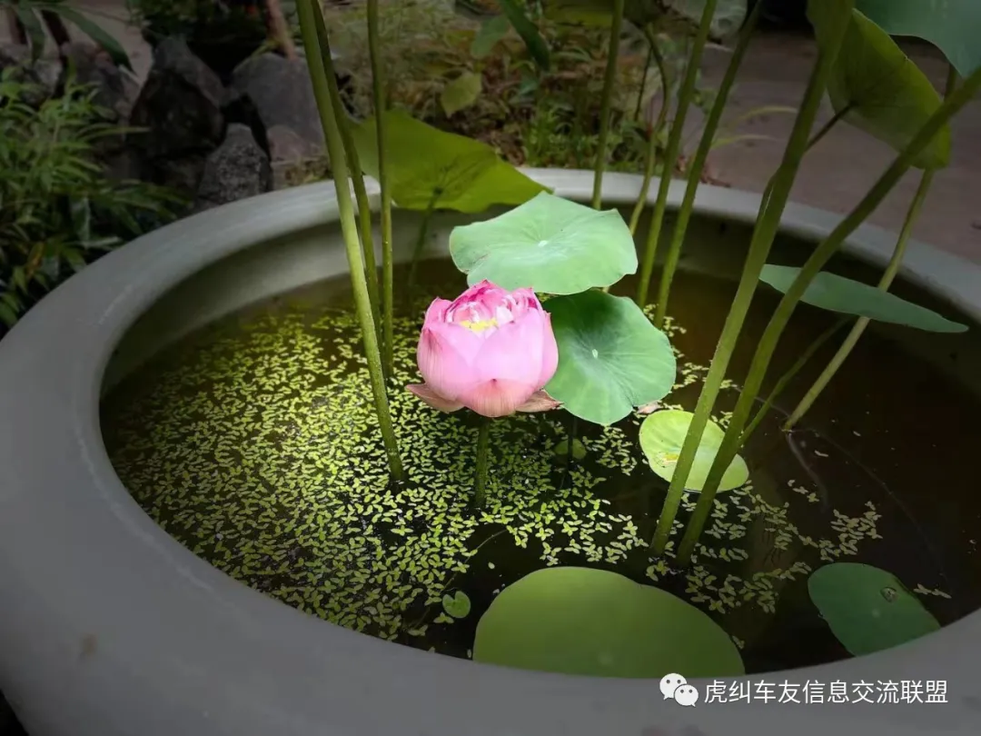 福建车茶机车俱乐部鼎力助阵首届泰宁机车旅游节花絮篇