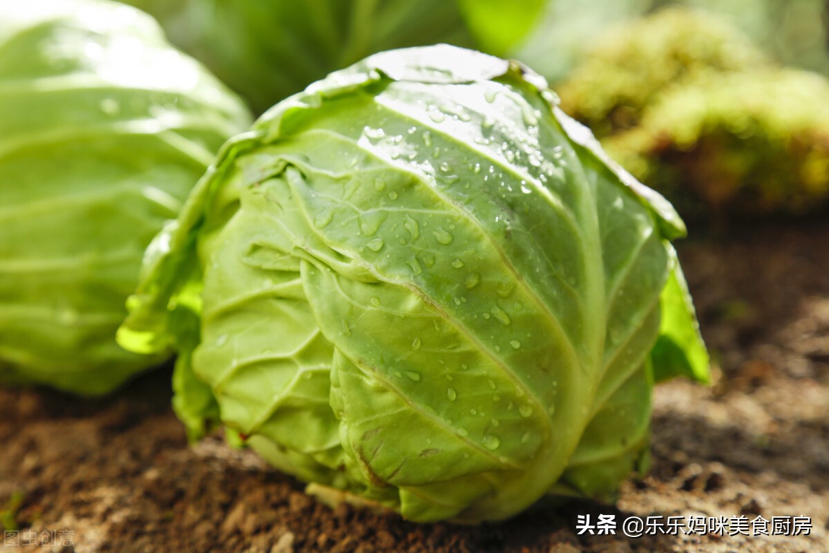 才知道减肥最好先控糖,4种低糖蔬菜要多吃,营养丰富还热量低