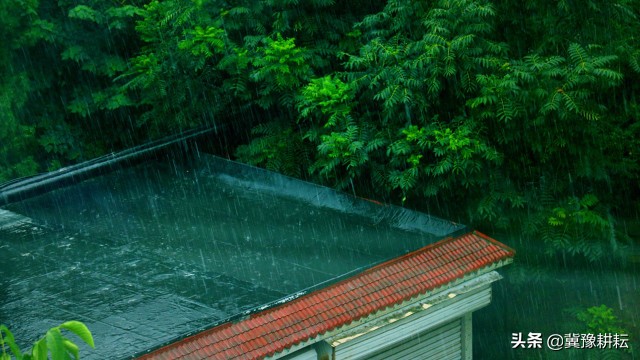 今天重阳节，晴和阴雨分别有什么预兆？看老祖宗留下的谚语怎么说