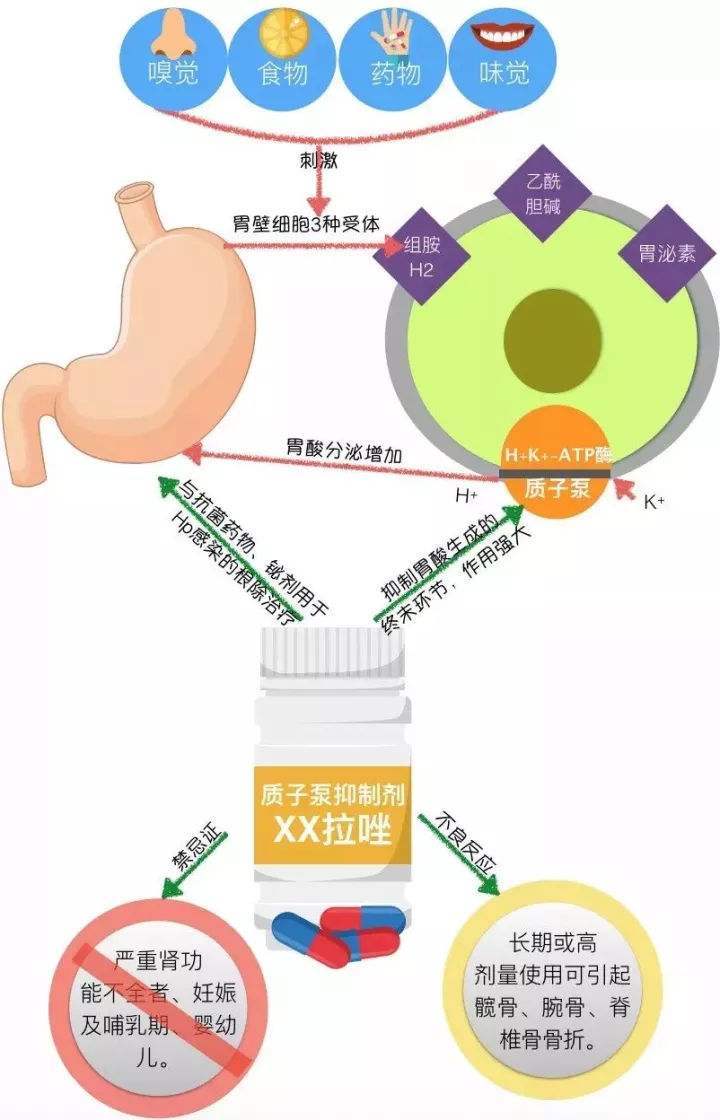 糜烂性胃炎反反复复，停药就犯？五个养胃建议请收好