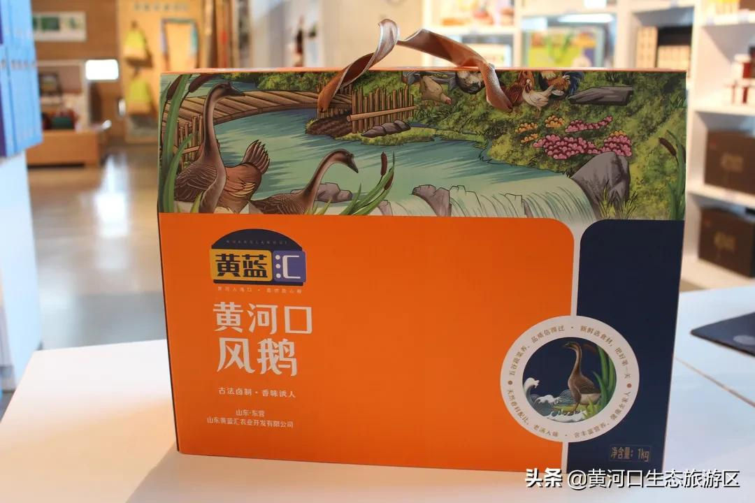 【黄河口生态旅游区】冬日暖阳 静享时光