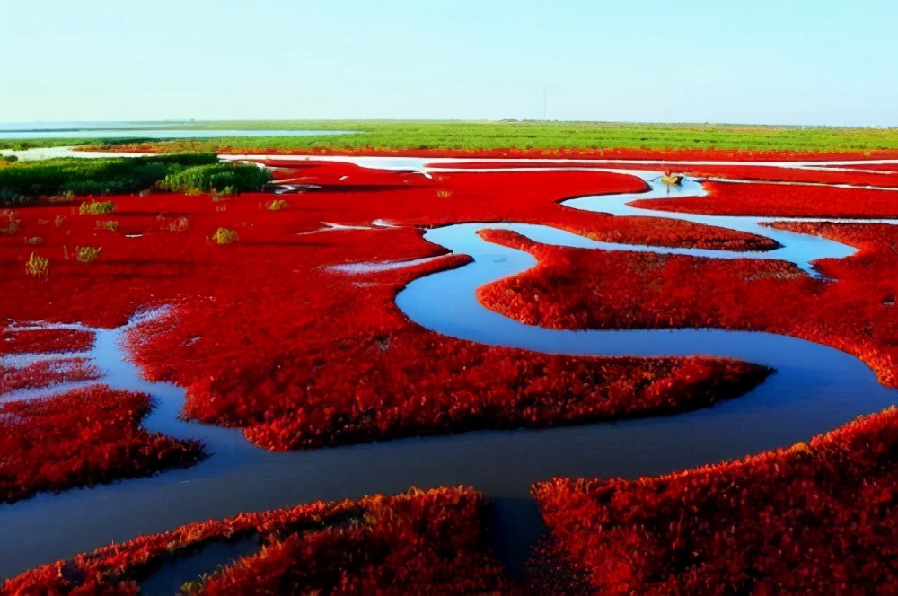 红海滩风景区