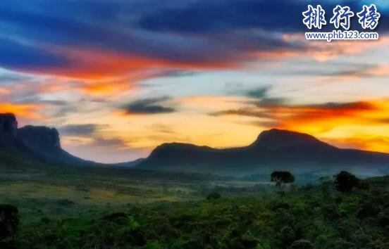 世界上最大的高原是哪里？