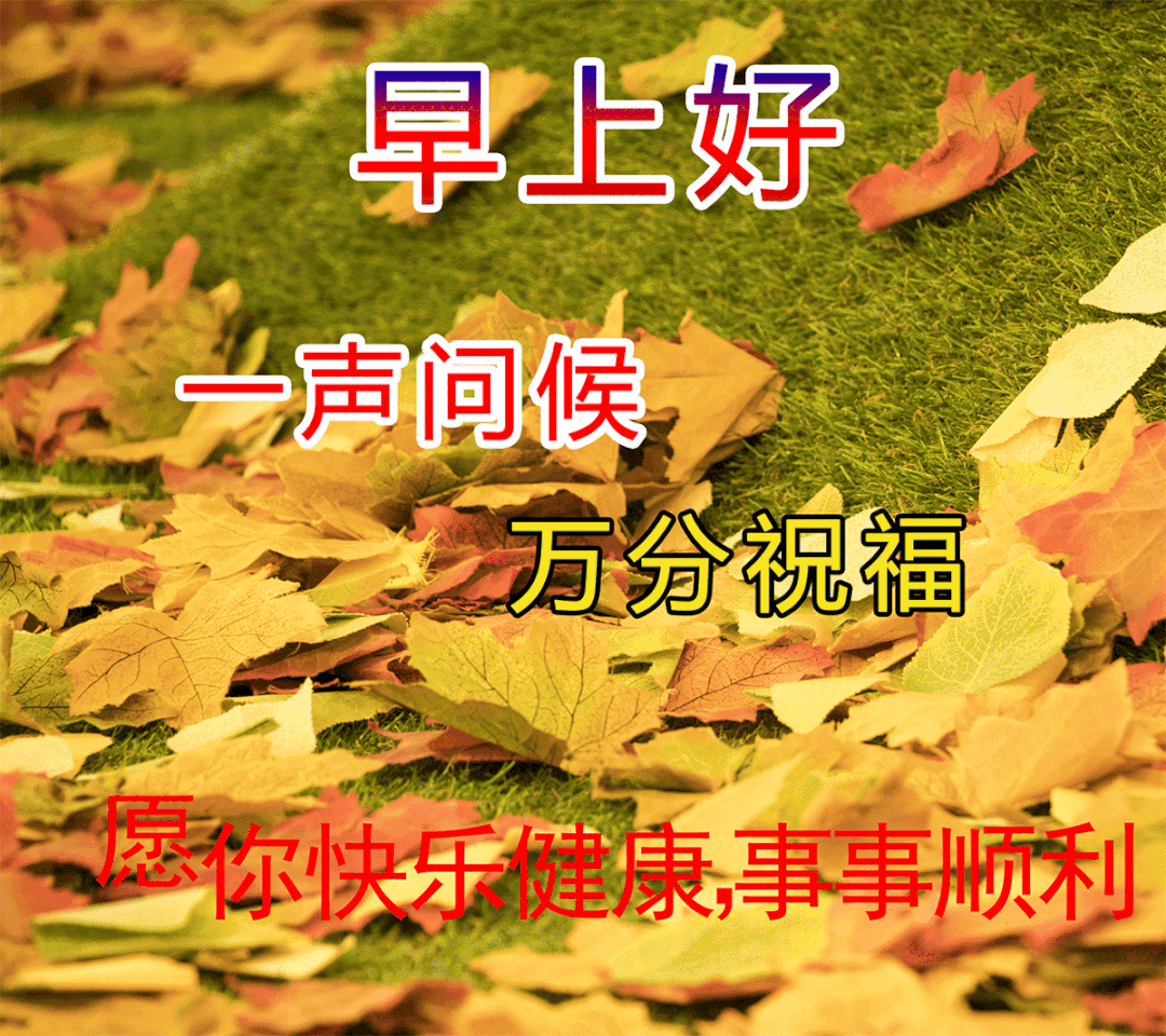 适合发朋友圈的最新早安语录图片