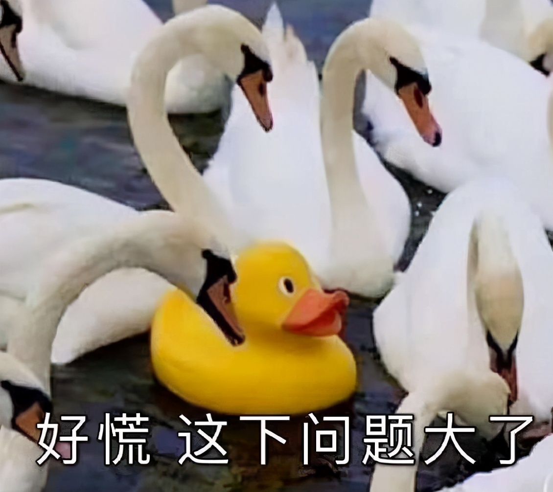 大专和大学（读大专还是读）