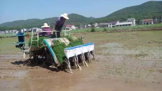 2019年看好十大“小蓝海”农机！