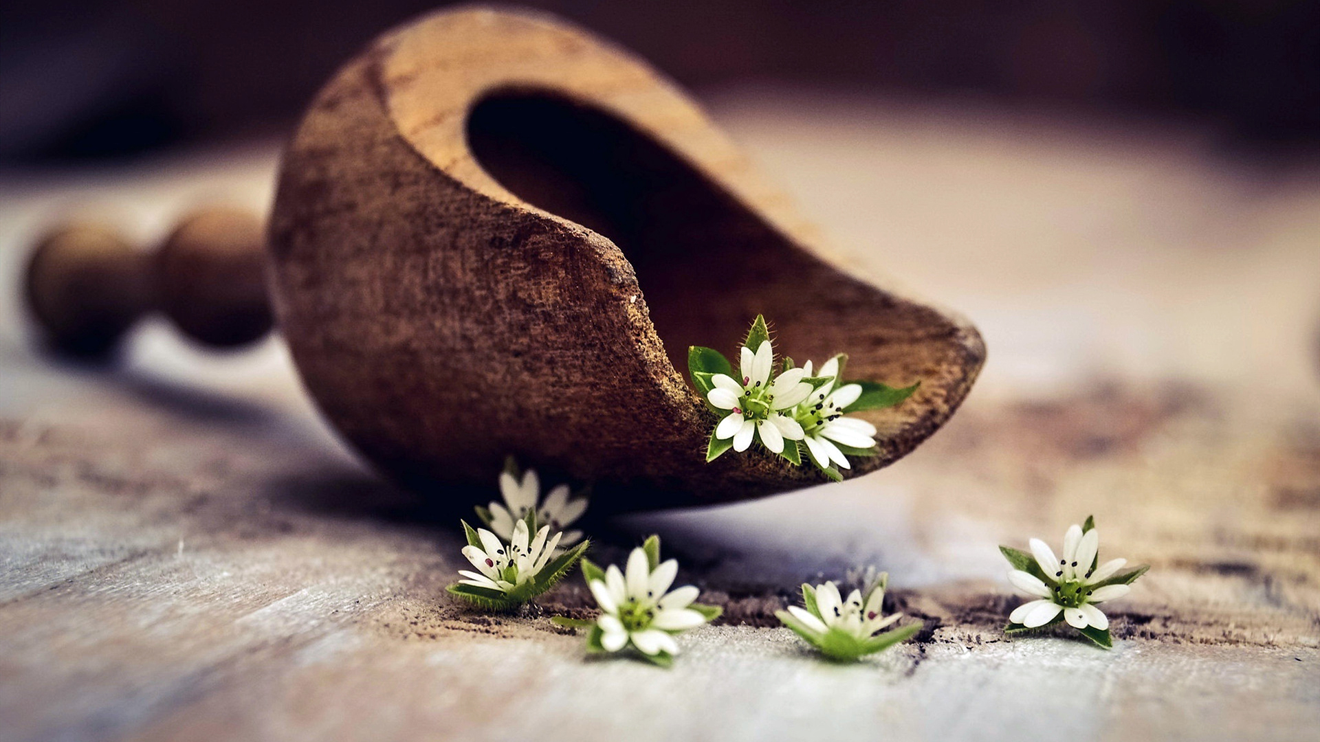 往往福报不浅福报不浅是什么意思