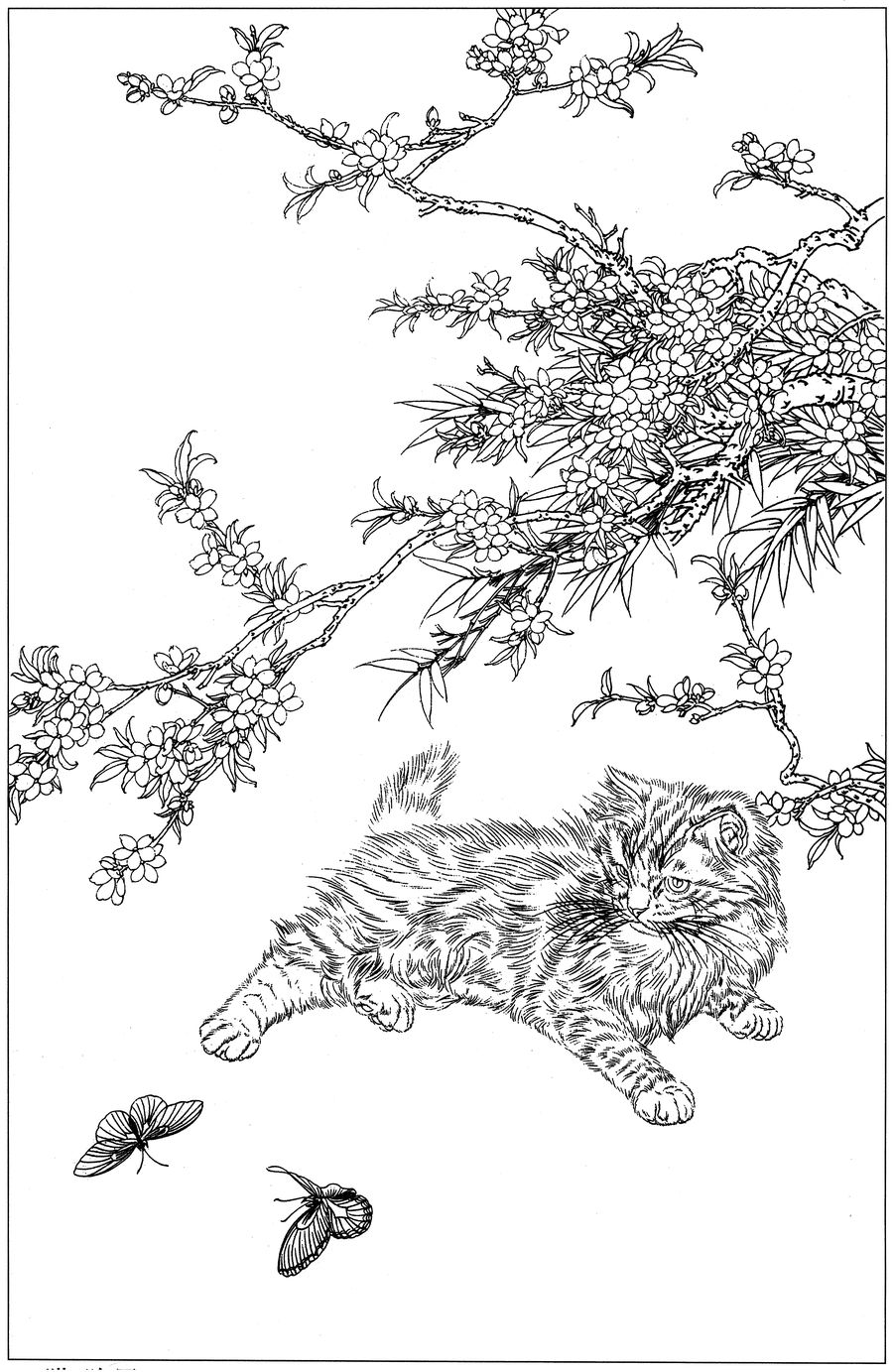 猫高清白描线稿图片下载16幅