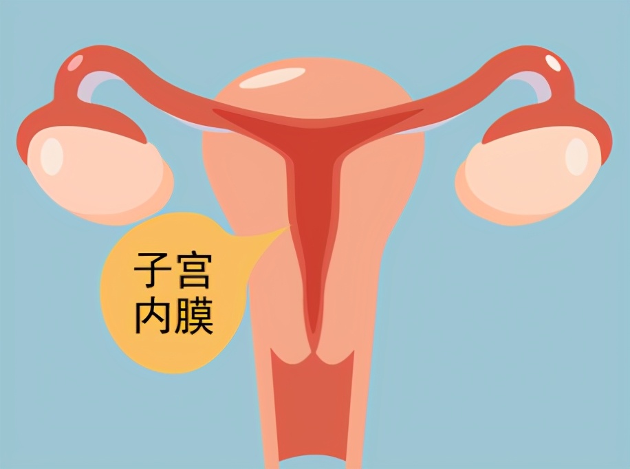 子宫内膜增厚怎么回事？子宫内膜增厚的危害有哪些？