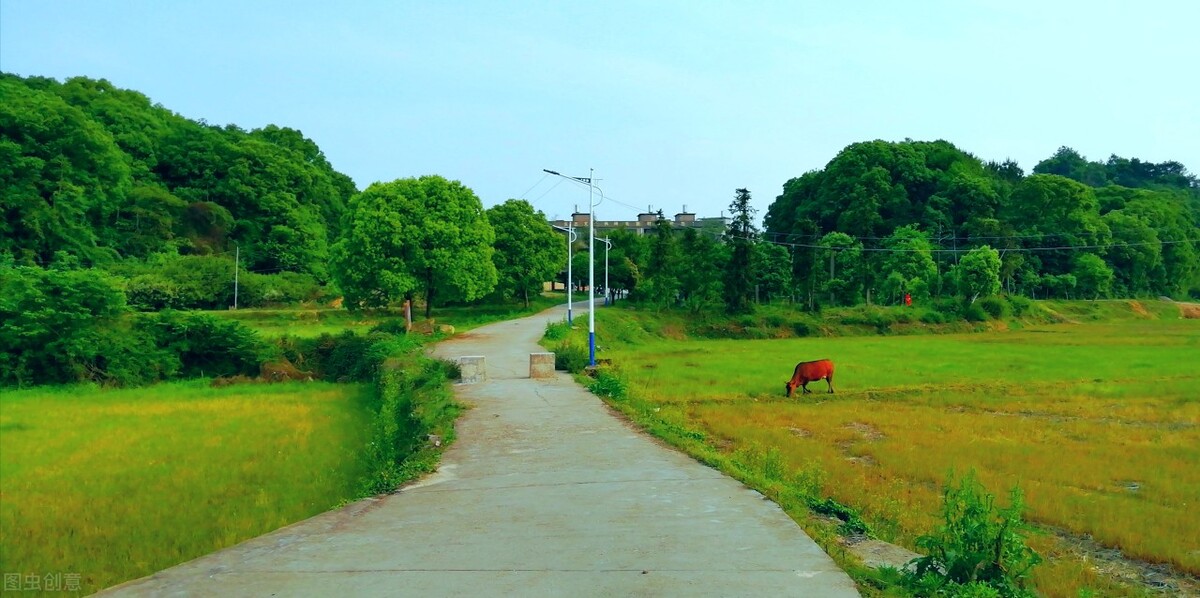 从高考英语听力测试剖析听力微技能