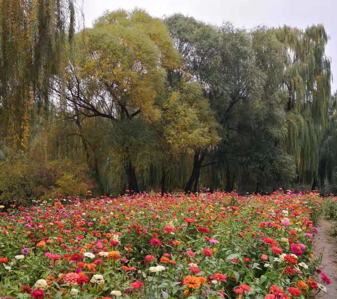 2021考研：管理类联考几大专业，你能分清吗？