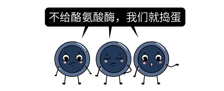 长出来的白发还能变黑吗（白头发怎么改善养出黑发）