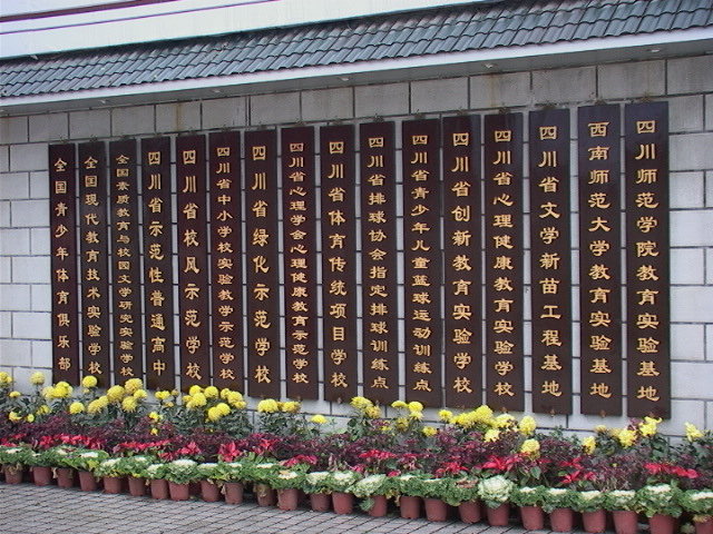 四川宜宾2020高考，宜宾一中表现依然强劲，一所私立学校强势崛起