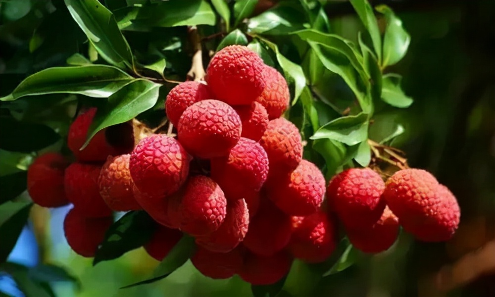 农产品营销运营，如何巧借事件营销