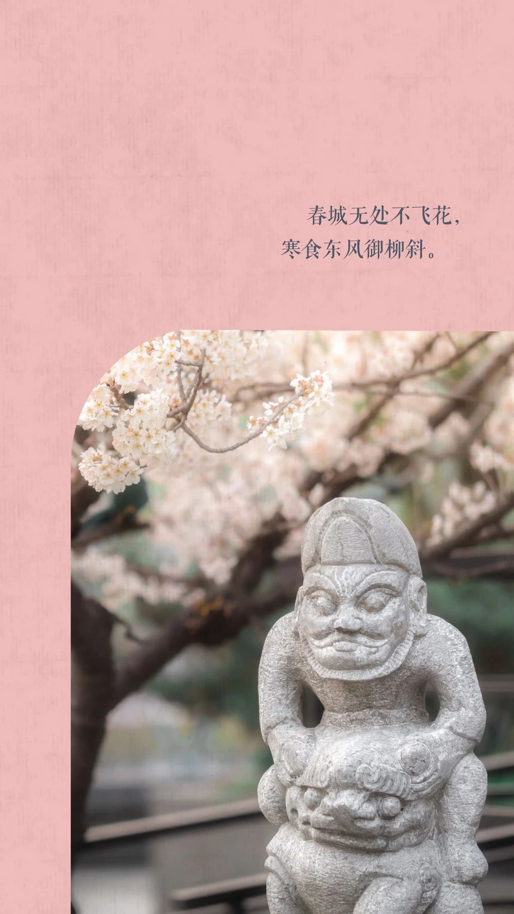 中国这10所大学壁纸第二期！厦门大学、中山大学等在列