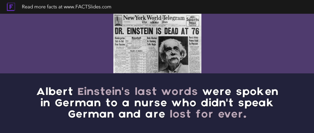 爱因斯坦的大脑被切成240块是真的吗（爱因斯坦的贡献）