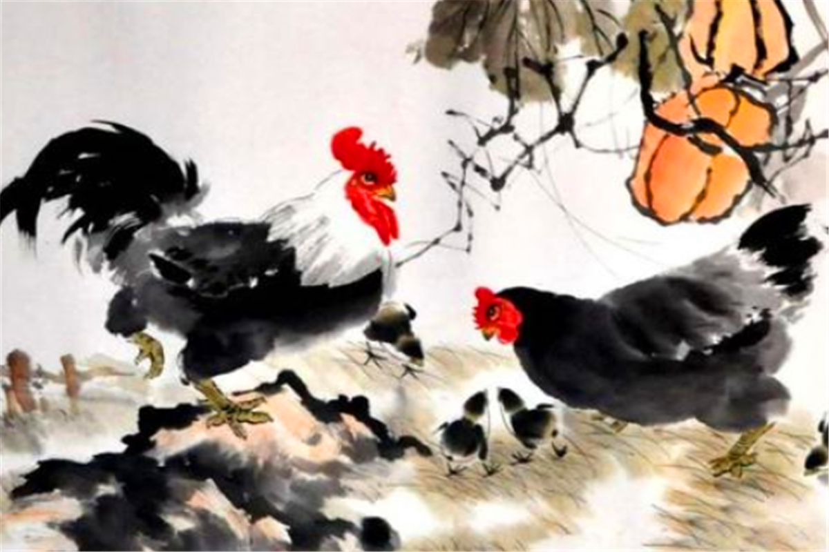 属鼠和属羊的合不合羊鼠相害的化解办法会克死吗