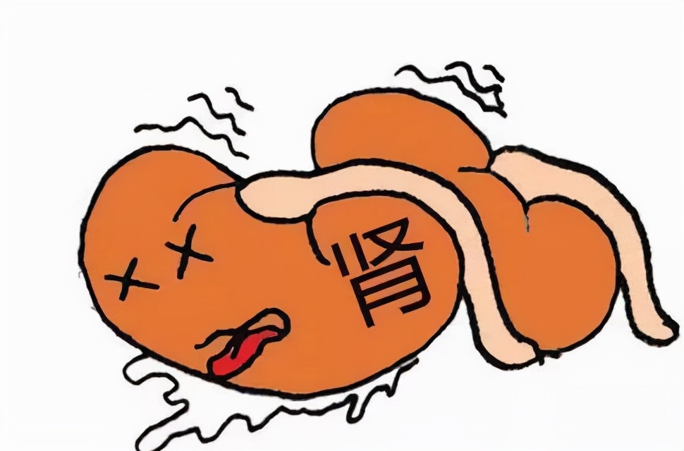 大三小伙尿酸高达640，且出现肾损伤，只因天天在学校做这两件事