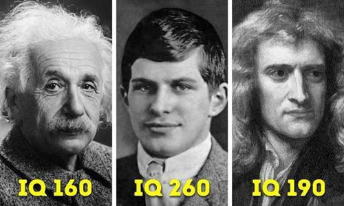 “智商最高人类”威廉·席德斯，IQ超250，他取得多少成就？