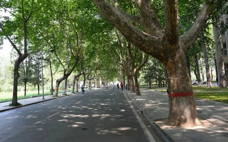 立德立志，善学善行-河北工程大学 近三年院校、专业录取数据分析