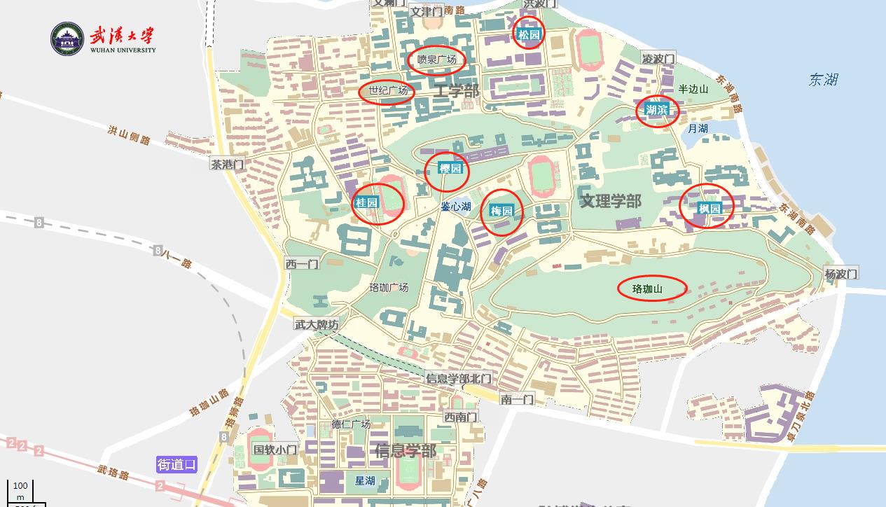 武大：中国最美大学校园，双一流、985、211，武汉大学旅游攻略
