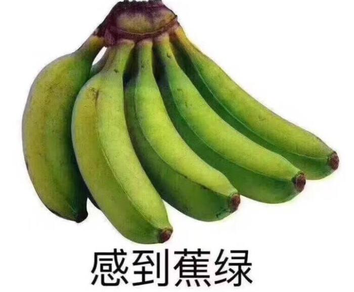 高考复习最后50天，想从300分提高到600多分，可能吗？