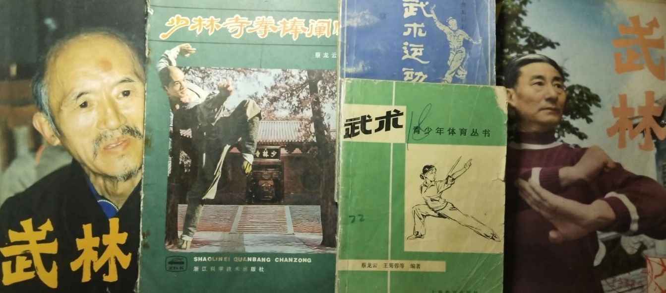 武术泰斗真传，技击宗师绝技：少林罗汉十八手
