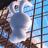 “八本精彩绝伦的小说”炸天帮唯一的遗憾就是没有登上榜单第一