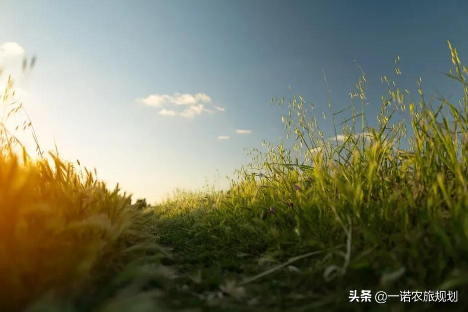 10月份,全国811个农业产业强镇选择发展的新路径是什么?