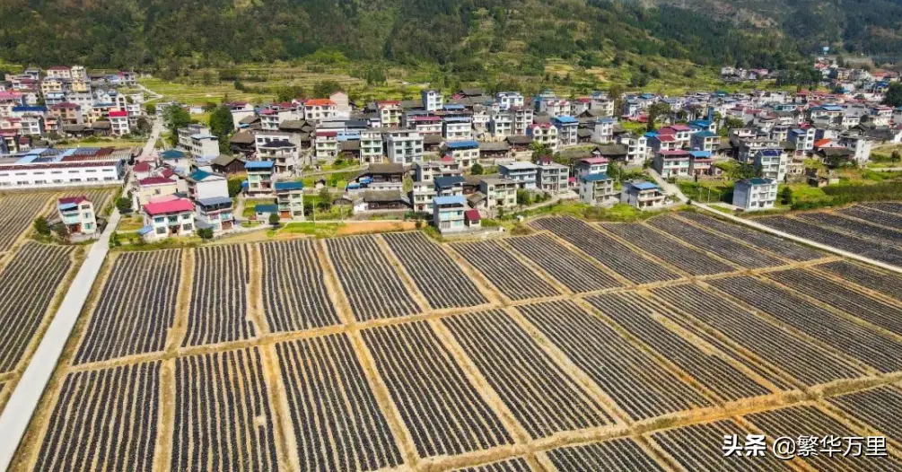 黔是哪个省的简称（贵州省行政区划调整方案）