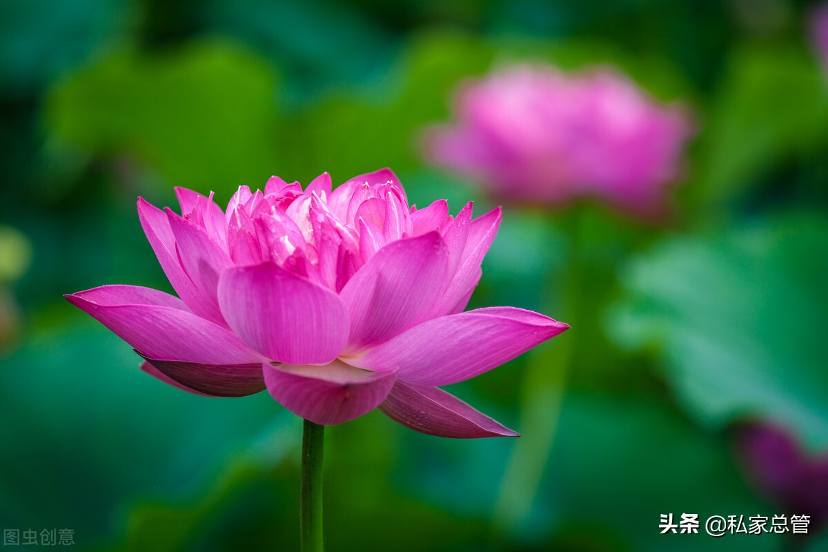 珍惜当下，活在当下，如此安好