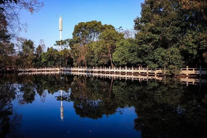 这就是桂林理工大学