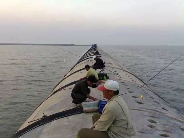 梭魚,梭魚的做法大全家常做法