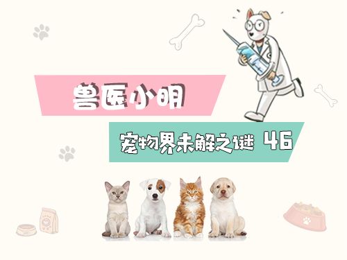 感冒时流眼泪是因病毒感染引起的眼部炎症反应，属正常生理现象，注意休息多喝水可缓解症状。