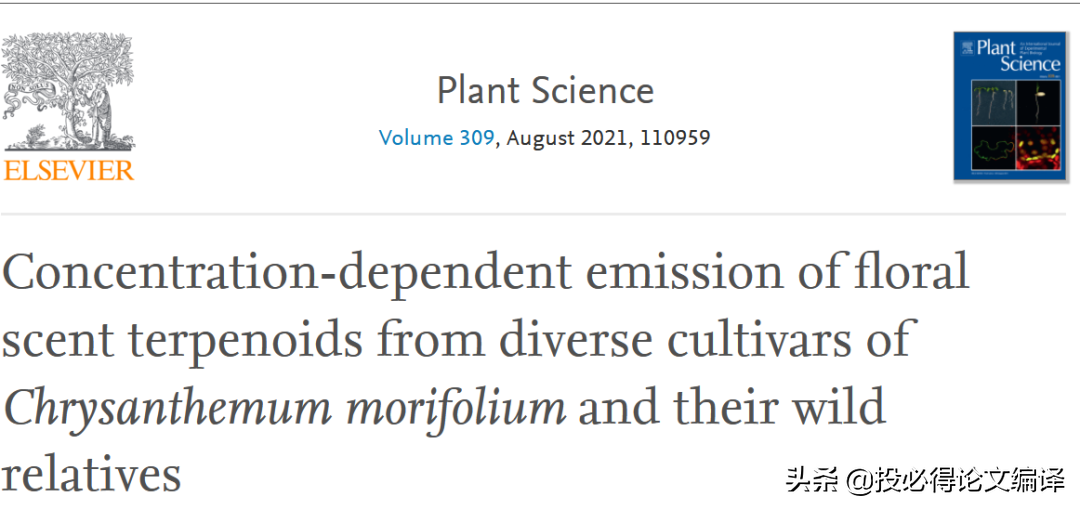 一区SCI论文见刊了，博士都能毕业，却找不到对象