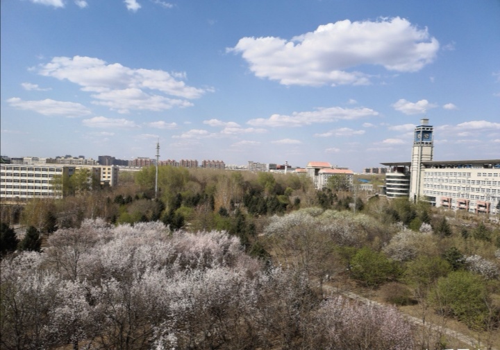 吉林农业大学地址在哪个区?到底是哪里(图25)