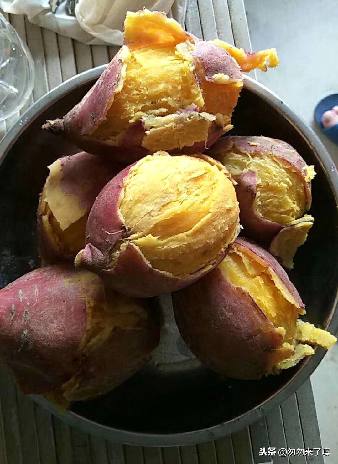 这薯王收购价高达10一斤，它究竟有何不一样？是一山村独有的特产