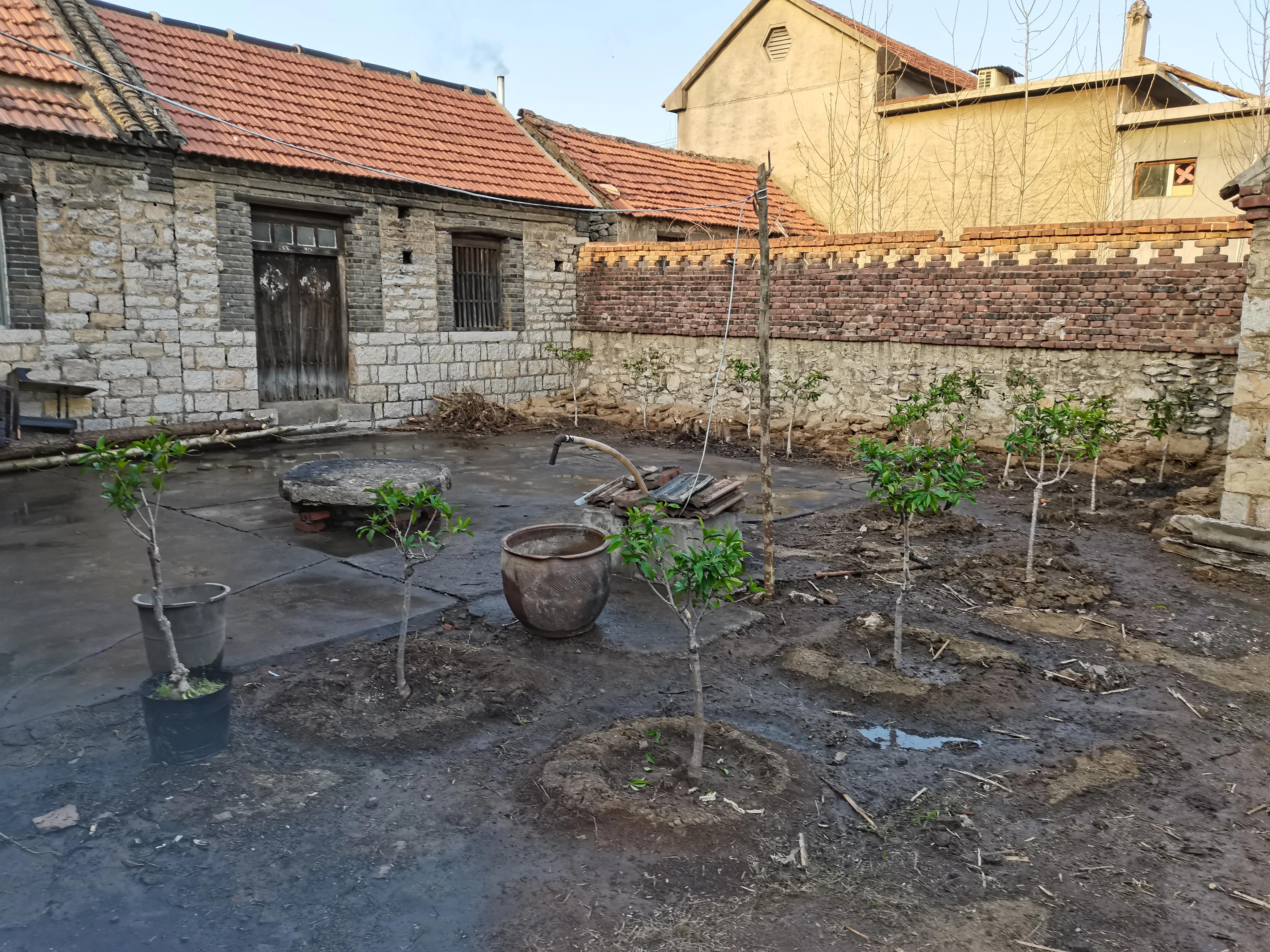 我们家的老院子