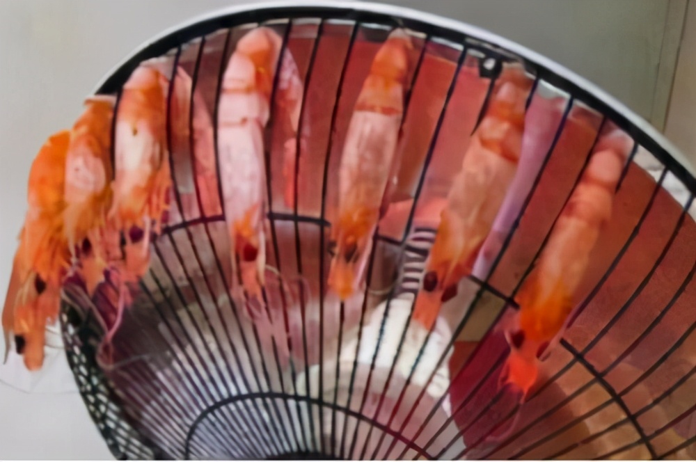 大学辅导员突查女生宿舍，“违禁品”五花八门，犹如小型杂货店